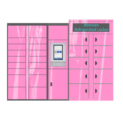 Winnsen Cabinet Sayur Refrigerated Locker Penyimpanan Elektronik Smart Lockers