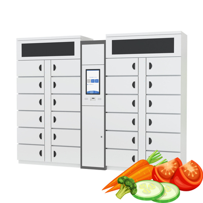 Winnsen Refrigerated Smart Food Fruit Locker Pendinginan Dinamis Luar Ruangan